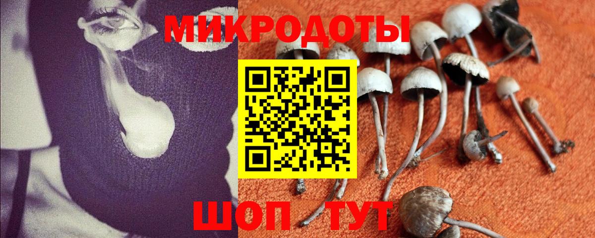 Псилоцибиновые грибы Magic Shrooms  Псилоцибиновые грибы MAGIC MUSHROOMS  Малгобек  Вход с VPN 